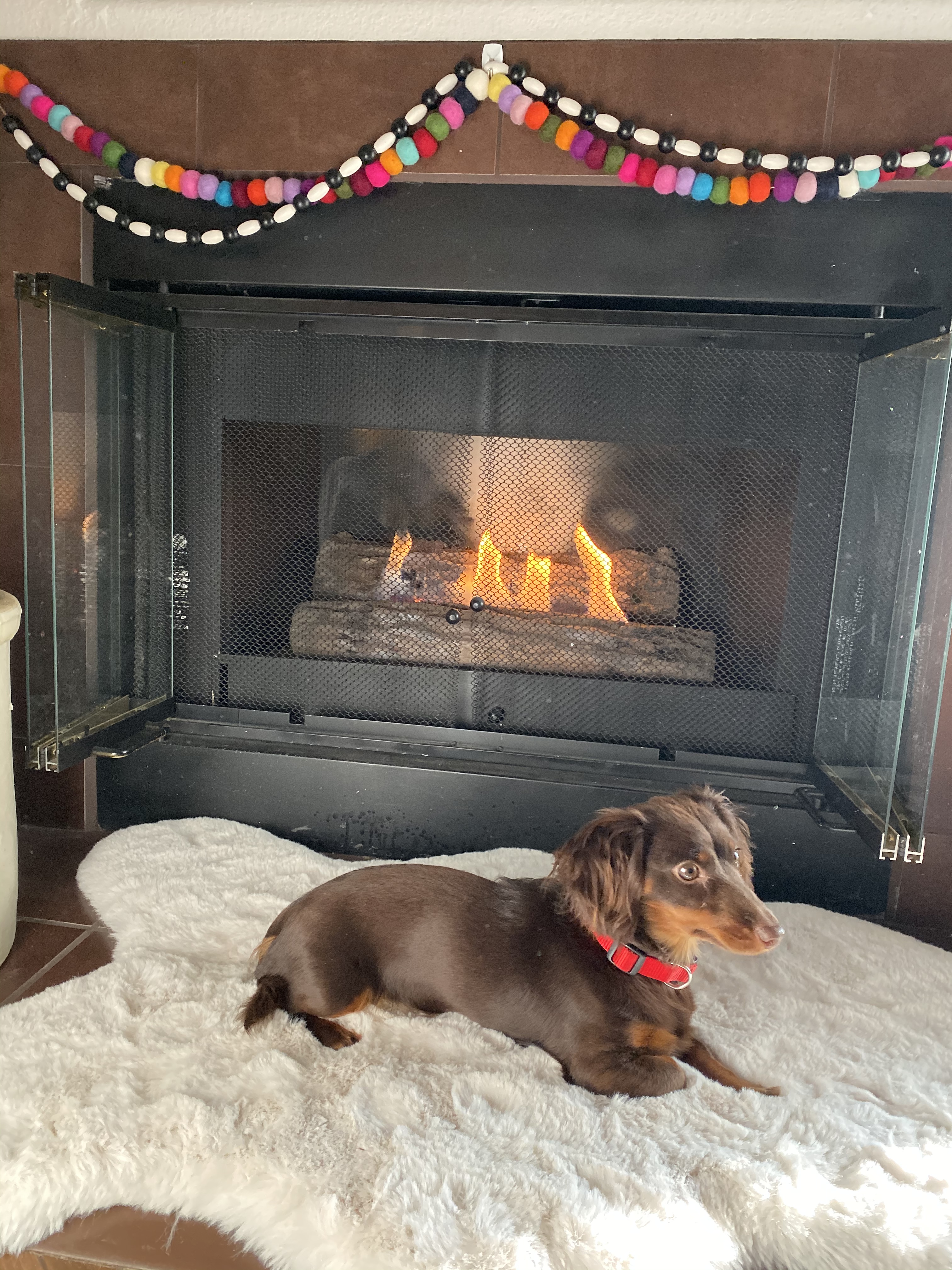 61B9DB81-F80B-423F-ABC1-D209187EC72F