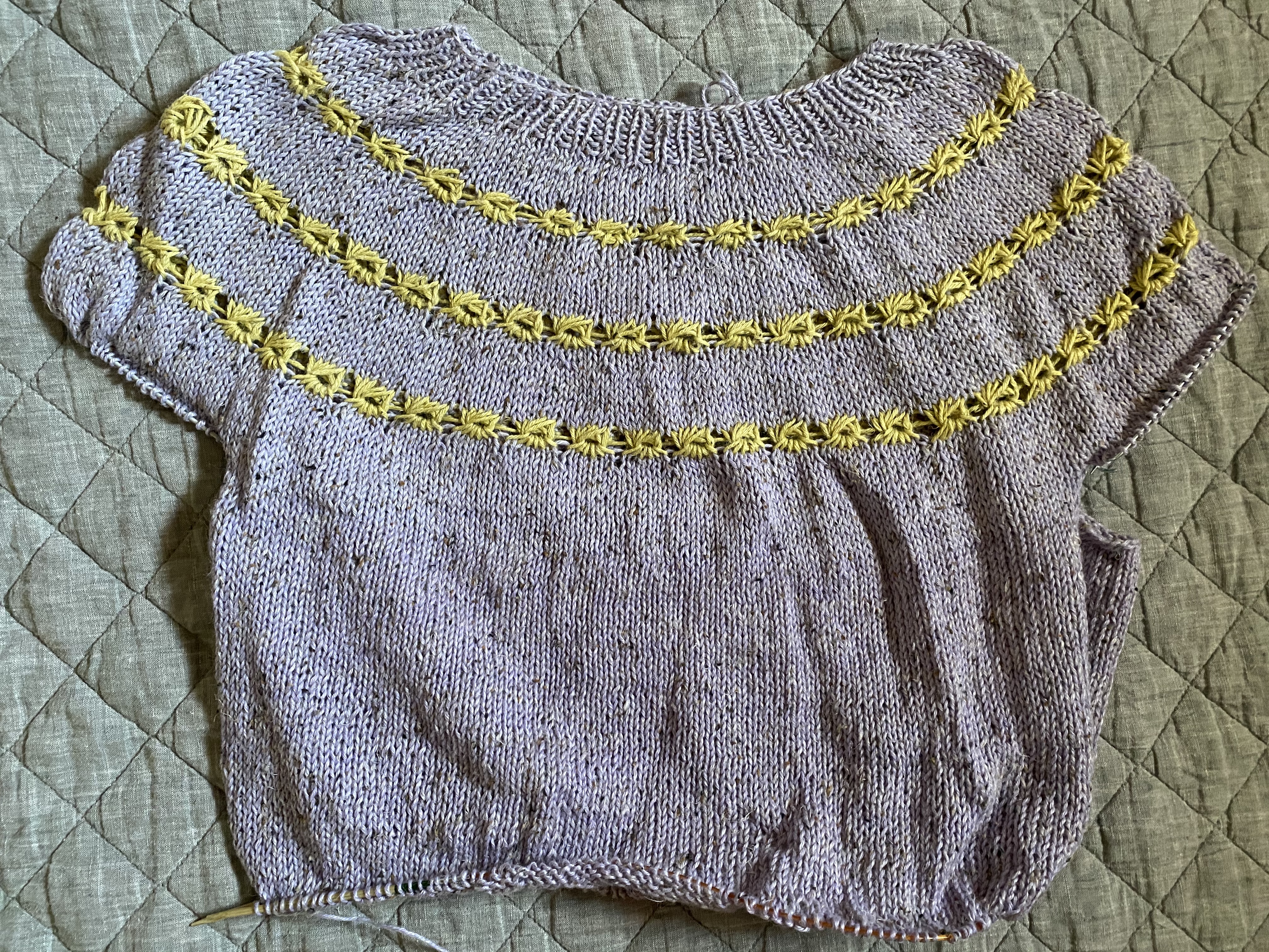 B354A391-8FF9-4E5B-8091-97FD2E60C0DE